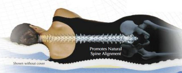 Spine Alignment on Memory